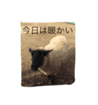 仲間へ（個別スタンプ：5）