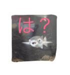 仲間へ（個別スタンプ：8）