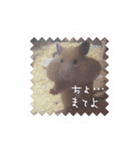 ハムスターの御挨拶（個別スタンプ：6）