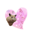 ハムスターの御挨拶（個別スタンプ：13）