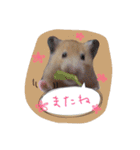 ハムスターの御挨拶（個別スタンプ：15）
