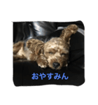 チョコだよ2（個別スタンプ：1）