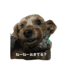 チョコだよ2（個別スタンプ：5）