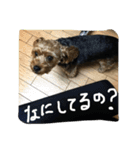 チョコだよ2（個別スタンプ：6）