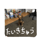 チョコだよ2（個別スタンプ：7）