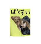 チョコだよ2（個別スタンプ：10）