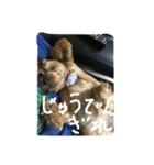 チョコだよ2（個別スタンプ：13）