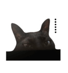 シュールな黒猫2（個別スタンプ：4）