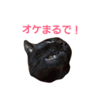 シュールな黒猫2（個別スタンプ：6）