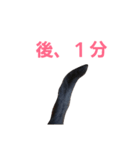 シュールな黒猫2（個別スタンプ：9）