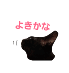 シュールな黒猫2（個別スタンプ：10）
