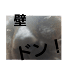 シュールな黒猫2（個別スタンプ：16）