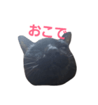 シュールな黒猫2（個別スタンプ：18）