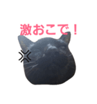シュールな黒猫2（個別スタンプ：19）