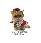 みんニャ ピーコだニャン（個別スタンプ：8）