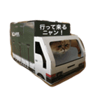 みんニャ ピーコだニャン（個別スタンプ：11）