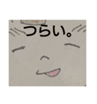 ステッカー風、連続ひろちん（個別スタンプ：9）