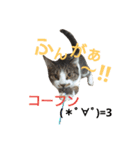 ぼたまるとちょびすけ（個別スタンプ：5）