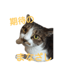 ぼたまるとちょびすけ（個別スタンプ：6）