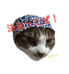 ぼたまるとちょびすけ（個別スタンプ：9）