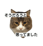 ぼたまるとちょびすけ（個別スタンプ：12）