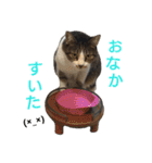 ぼたまるとちょびすけ（個別スタンプ：14）