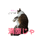 ぼたまるとちょびすけ（個別スタンプ：24）