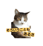 ぼたまるとちょびすけ（個別スタンプ：30）