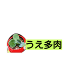 多肉植物（個別スタンプ：5）