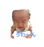 あおいだよ〜（個別スタンプ：1）