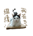 I am a toilet paper, toilet paper is me（個別スタンプ：1）
