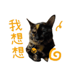 I am a toilet paper, toilet paper is me（個別スタンプ：2）