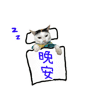 I am a toilet paper, toilet paper is me（個別スタンプ：3）