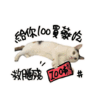 I am a toilet paper, toilet paper is me（個別スタンプ：4）
