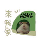 I am a toilet paper, toilet paper is me（個別スタンプ：5）