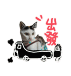 I am a toilet paper, toilet paper is me（個別スタンプ：6）