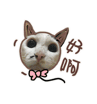 I am a toilet paper, toilet paper is me（個別スタンプ：7）