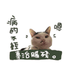 I am a toilet paper, toilet paper is me（個別スタンプ：8）
