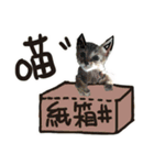 I am a toilet paper, toilet paper is me（個別スタンプ：10）