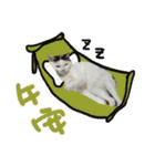 I am a toilet paper, toilet paper is me（個別スタンプ：13）