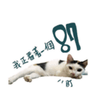 I am a toilet paper, toilet paper is me（個別スタンプ：18）