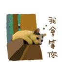 I am a toilet paper, toilet paper is me（個別スタンプ：20）