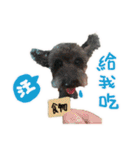 I am a toilet paper, toilet paper is me（個別スタンプ：21）