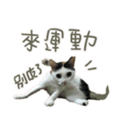 I am a toilet paper, toilet paper is me（個別スタンプ：24）