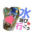 こうスタンプ72（個別スタンプ：2）