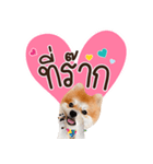 Fhew Chokchai 4 talk cute version 2（個別スタンプ：1）