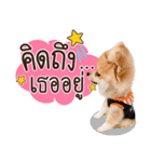 Fhew Chokchai 4 talk cute version 2（個別スタンプ：10）