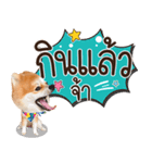 Fhew Chokchai 4 talk cute version 2（個別スタンプ：12）