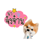 Fhew Chokchai 4 talk cute version 2（個別スタンプ：19）