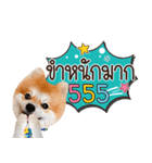 Fhew Chokchai 4 talk cute version 2（個別スタンプ：25）